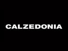 Calzedonia (Кальцедония)
