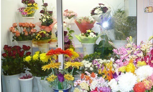 Ведение цветочного бизнеса