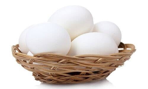 Куриные яйца - как идея для бизнеса