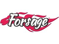 Франшиза Forsage